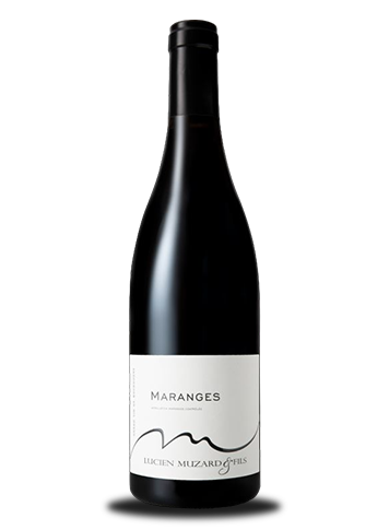 Maranges « Domaine Muzard » 2023 : 20€